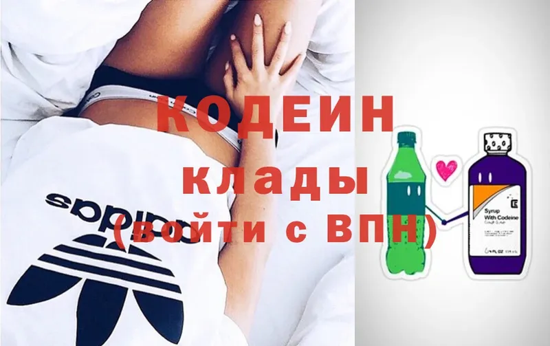 Кодеиновый сироп Lean Purple Drank  купить  сайты  Райчихинск 